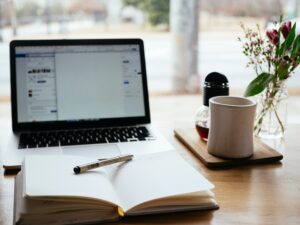 Read more about the article How to Algorithm-Proof your Business on Social Media